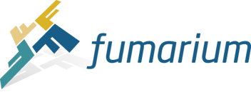 Fumarium — dimnjaci i dimovodni elementi